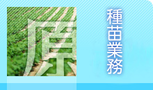 種苗業務