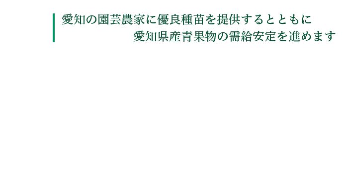 愛知の園芸農家に優良種苗を提供するとともに愛知県産青果物の需給安定を進めます